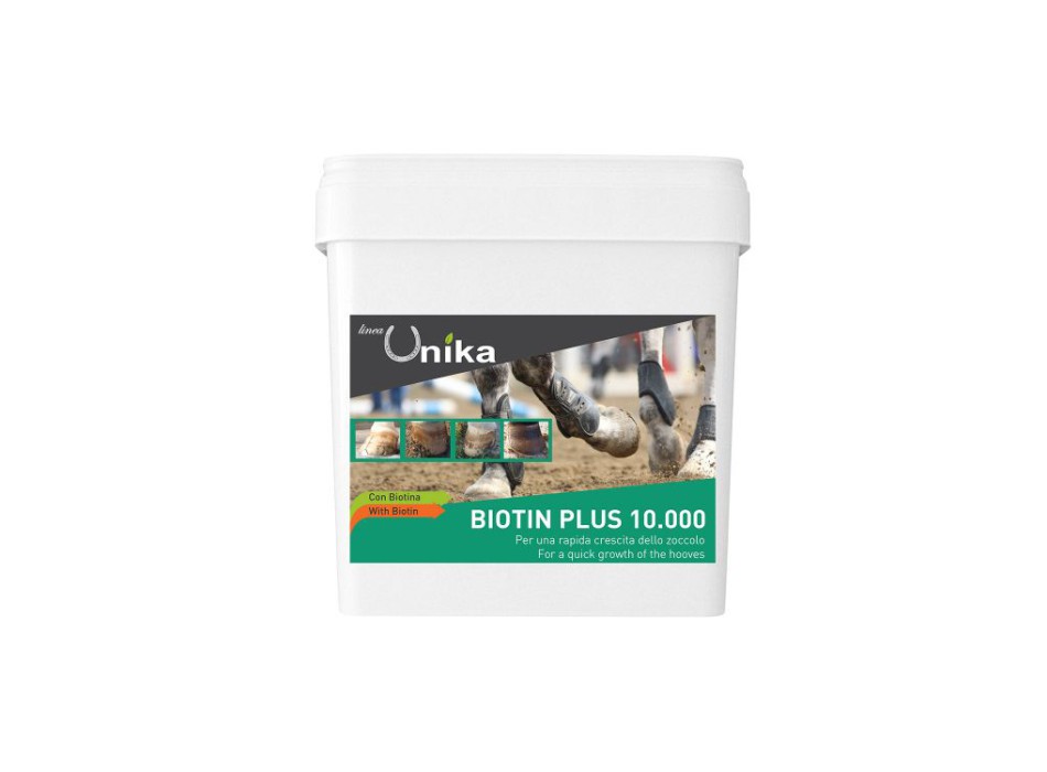 BIOTIN PLUS 10.000 (1 KG) LU0005