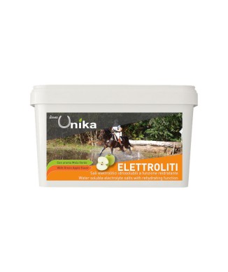 AUSDAUERELEKTROLYT (1 KG) LU0020