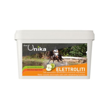 AUSDAUERELEKTROLYT (1 KG) LU0020