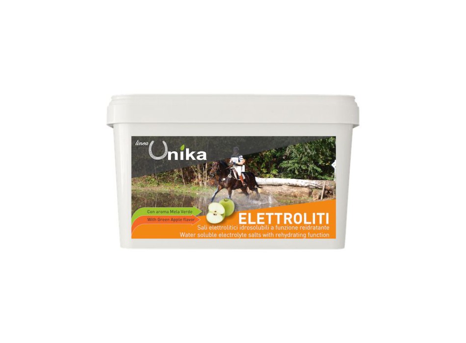 AUSDAUERELEKTROLYT (1 KG) LU0020