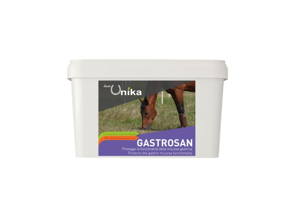 GASTROSAN (1,5 KG) LU0027