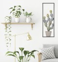 CACTUS-FRAME EISENPLATTE -A-