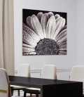 Rahmen BLACK DAISY P4752 PINTDECOR