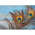 Quadro ZWEI PEACOCK FEATHERS G4050 PINTDECOR