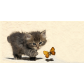 Framework KITTEN UND SCHMETTERLING G1588 PINTDECOR