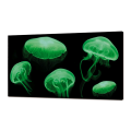 LUMINOUS Gemälde MEDUSE FLUO GL3498 PINTDECOR