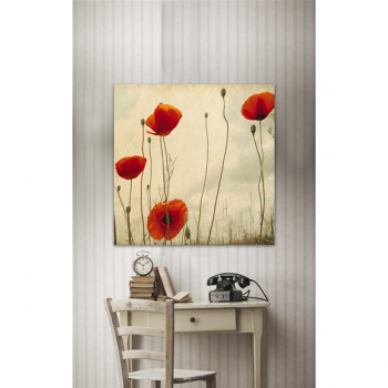 Rahmen Mohnblumen G1146 PINTDECOR