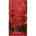 Quadro HERBSTWEG G4122 PINTDECOR