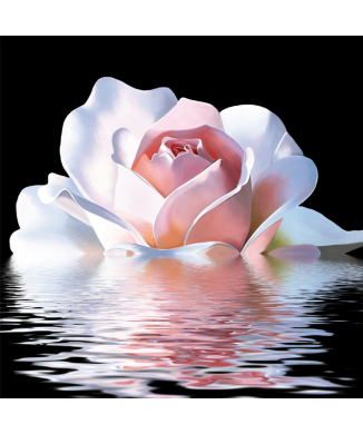 Lackierung PINK REFLEXION G2574 PINTDECOR