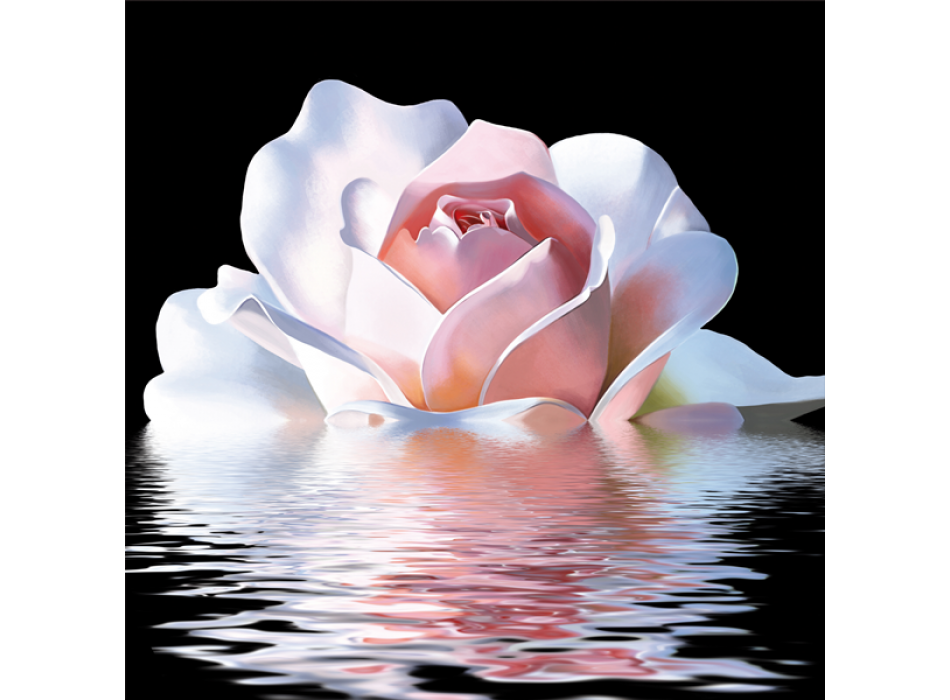 Lackierung PINK REFLEXION G2574 PINTDECOR