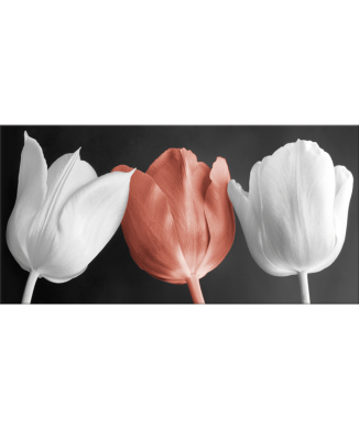 Rahmen TULPEN G2520 PINTDECOR