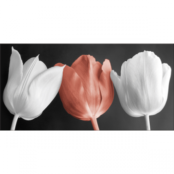 Rahmen TULPEN G2520 PINTDECOR