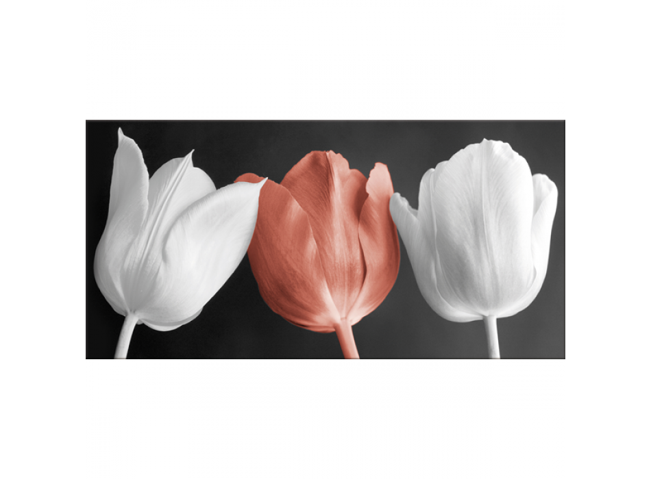 Rahmen TULPEN G2520 PINTDECOR