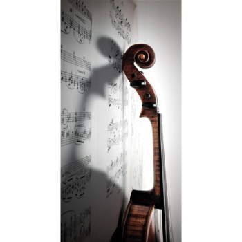 Rahmen VIOLINE G1498 PINTDECOR